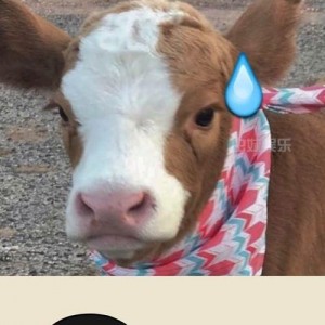 不干了 吃瓜抖音